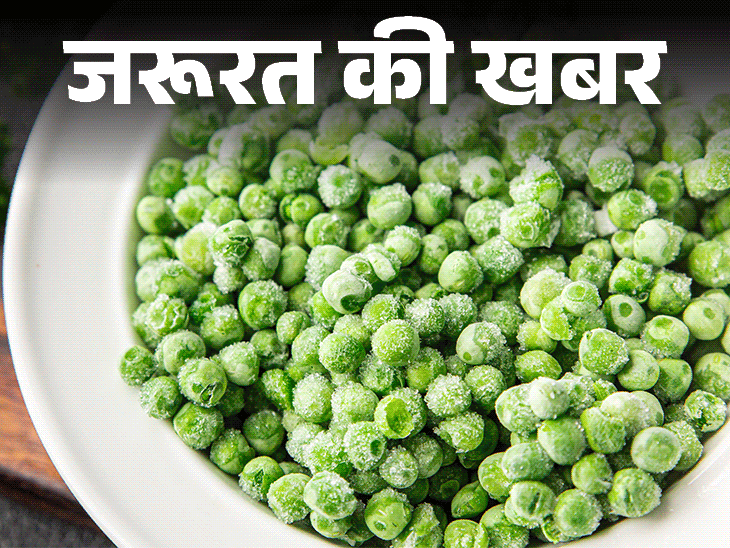 जरूरत की खबर- क्या फ्रोजन मटर खाना अच्छा है?:  न्यूट्रिशनिस्ट से जानें यूज करने का सही तरीका, खरीदते हुए बरतें ये 6 सावधानियां