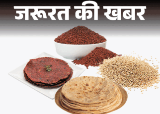 जरूरत की खबर- गेहूं से ज्यादा हेल्दी ज्वार-रागी:  ग्लूटेन फ्री है, जानें न्यूट्रिशनल वैल्यू, हेल्थ बेनिफिट्स, किन्हें नहीं खाना चाहिए