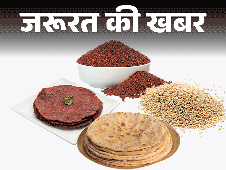 जरूरत की खबर- गेहूं से ज्यादा हेल्दी ज्वार-रागी:  ग्लूटेन फ्री है, जानें न्यूट्रिशनल वैल्यू, हेल्थ बेनिफिट्स, किन्हें नहीं खाना चाहिए