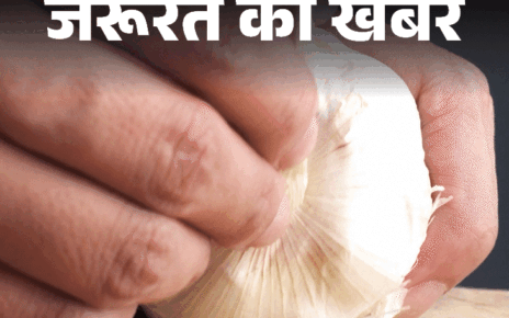 जरूरत की खबर- काला लहसुन है सेहत का खजाना:  ज्यादा एंटीऑक्सिडेंट, पचने में आसान, जानें हेल्थ बेनिफिट्स, किन्हें नहीं खाना चाहिए
