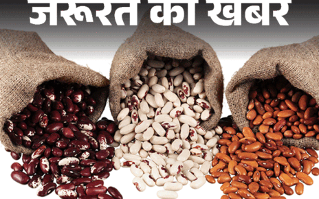 जरूरत की खबर- बीन्स खाने से लंबी होती है उम्र:  सॉल्यूबल फाइबर कोलेस्ट्रॉल कम करे, हार्ट को रखे हेल्दी, जानें किसे नहीं खाना चाहिए