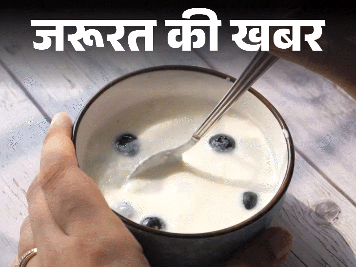 जरूरत की खबर- बीपी कम करना है तो दही खाएं:  इम्यूनिटी बढ़ाए, इंफ्लेमेशन कम करे, 12 हेल्थ बेनिफिट्स, जानें किसे नहीं खाना चाहिए