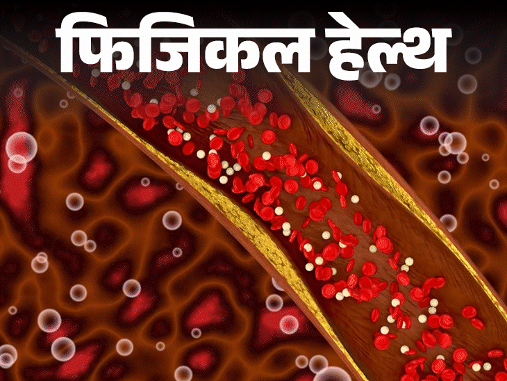 फिजिकल हेल्थ- कोलेस्ट्रॉल पर 8 साल बाद आई नई गाइडलाइन:  LDL 100 से नीचे रखें, 20 साल की उम्र से कराएं टेस्ट, जानें जरूरी बातें
