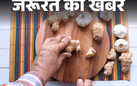 जरूरत की खबर- 4000 किलो मिलावटी जिंजर-गार्लिक पेस्ट जब्त:  5 तरीकों से करें शुद्ध और मिलावटी की पहचान, जानें बनाने का आसान तरीका