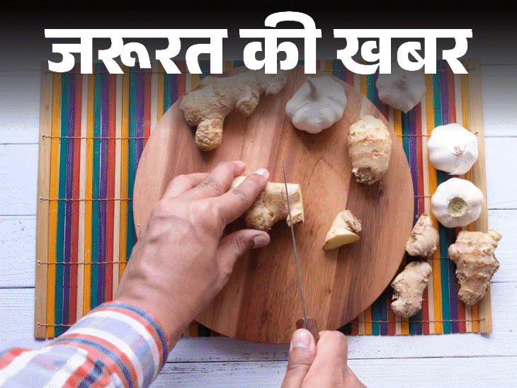 जरूरत की खबर- 4000 किलो मिलावटी जिंजर-गार्लिक पेस्ट जब्त: 5 तरीकों से करें शुद्ध और मिलावटी की पहचान, जानें बनाने का आसान तरीका जरूरत की खबर- 4000 किलो मिलावटी जिंजर-गार्लिक पेस्ट जब्त: 5 तरीकों से करें शुद्ध और मिलावटी की पहचान, जानें बनाने का आसान तरीका