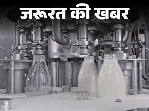 जरूरत की खबर- महाराष्ट्र में 23 लाख लीटर मिलावटी दूध:  कहीं आप भी तो नहीं पी रहे सिंथेटिक दूध, घर पर ऐसे करें शुद्धता की जांच