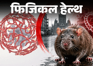 फिजिकल हेल्थ- रैट फीवर पर एडवाइजरी:  बारिश में बढ़ता रिस्क, पानी में न भीगें, जानें सभी लक्षण और बचाव के लिए जरूरी सावधानियां
