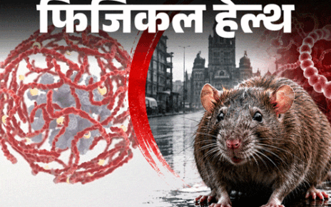 फिजिकल हेल्थ- रैट फीवर पर एडवाइजरी: बारिश में बढ़ता रिस्क, पानी में न भीगें, जानें सभी लक्षण और बचाव के लिए जरूरी सावधानियां फिजिकल हेल्थ- रैट फीवर पर एडवाइजरी: बारिश में बढ़ता रिस्क, पानी में न भीगें, जानें सभी लक्षण और बचाव के लिए जरूरी सावधानियां