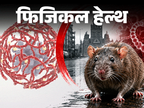 फिजिकल हेल्थ- रैट फीवर पर एडवाइजरी: बारिश में बढ़ता रिस्क, पानी में न भीगें, जानें सभी लक्षण और बचाव के लिए जरूरी सावधानियां फिजिकल हेल्थ- रैट फीवर पर एडवाइजरी: बारिश में बढ़ता रिस्क, पानी में न भीगें, जानें सभी लक्षण और बचाव के लिए जरूरी सावधानियां