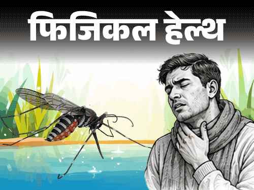 फिजिकल हेल्थ- बारिश के मच्छर फैलाते डेंगू-मलेरिया:  इन 10 लक्षणों को इग्नोर न करें, डॉक्टर से जानें बचाव के लिए 8 सावधानियां