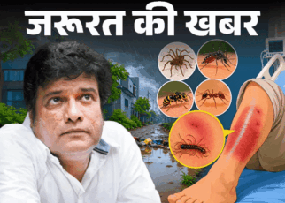 जरूरत की खबर- बॉलीवुड एक्टर को कीड़े ने काटा:  बारिश में कीड़ों से सावधान, ये 8 संकेत इग्नोर न करें, कीड़ों से बचाव के 9 टिप्स