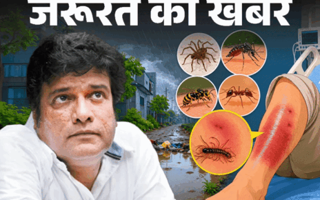 जरूरत की खबर- बॉलीवुड एक्टर को कीड़े ने काटा: बारिश में कीड़ों से सावधान, ये 8 संकेत इग्नोर न करें, कीड़ों से बचाव के 9 टिप्स जरूरत की खबर- बॉलीवुड एक्टर को कीड़े ने काटा: बारिश में कीड़ों से सावधान, ये 8 संकेत इग्नोर न करें, कीड़ों से बचाव के 9 टिप्स