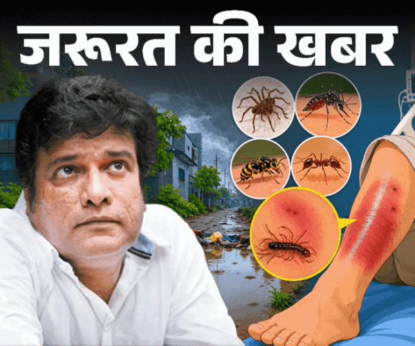 जरूरत की खबर- बॉलीवुड एक्टर को कीड़े ने काटा:  बारिश में कीड़ों से सावधान, ये 8 संकेत इग्नोर न करें, कीड़ों से बचाव के 9 टिप्स