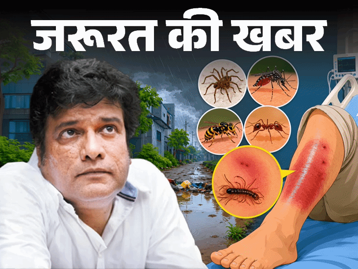 जरूरत की खबर- बॉलीवुड एक्टर को कीड़े ने काटा: बारिश में कीड़ों से सावधान, ये 8 संकेत इग्नोर न करें, कीड़ों से बचाव के 9 टिप्स जरूरत की खबर- बॉलीवुड एक्टर को कीड़े ने काटा: बारिश में कीड़ों से सावधान, ये 8 संकेत इग्नोर न करें, कीड़ों से बचाव के 9 टिप्स