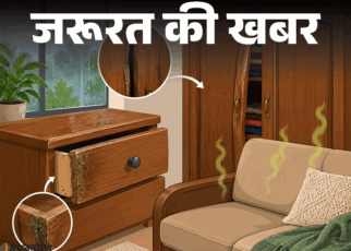 जरूरत की खबर- बारिश में खराब होते वुडेन फर्नीचर:  नमी के 12 संकेत इग्नोर न करें, एक्सपर्ट से जानें लकड़ी को सीलन से कैसे बचाएं