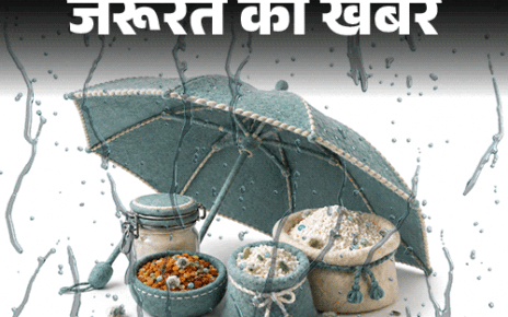 जरूरत की खबर- बारिश में जल्दी खराब होते आटा-चावल, दाल:  बढ़ता बैक्टीरिया-फंगस का रिस्क, एक्सपर्ट से जानें मानसून फूड स्टोरेज टिप्स