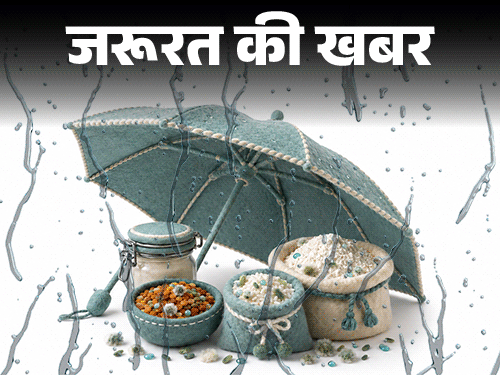 जरूरत की खबर- बारिश में जल्दी खराब होते आटा-चावल, दाल:  बढ़ता बैक्टीरिया-फंगस का रिस्क, एक्सपर्ट से जानें मानसून फूड स्टोरेज टिप्स