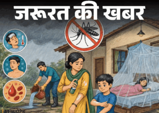 जरूरत की खबर- बारिश में बढ़ता मच्छरों का प्रकोप:  इन 5 घरेलू तरीकों से भगाएं मच्छर, डॉक्टर से जानें बचाव के लिए जरूरी सावधानियां