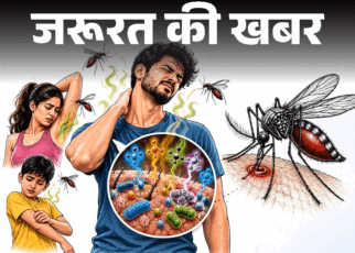 जरूरत की खबर- क्या मच्छर आपको ज्यादा काटते हैं:  समझें इसका साइंस, किन चीजों से आकर्षित होते मच्छर, बचाव के 7 आसान टिप्स