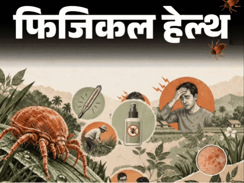 फिजिकल हेल्थ- देश में बढ़ रहे स्क्रब टाइफस के मामले:  कैसे फैलता है ये संक्रमण, डॉक्टर से जानें इसके लक्षण, बचाव और सावधानियां