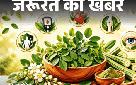 जरूरत की खबर- सहजन के पत्ते हैं ‘सेहत का खजाना’:  ब्लड शुगर करे कंट्रोल, पाचन रखे दुरुस्त, डॉक्टर से जानें इसे खाने का सही तरीका