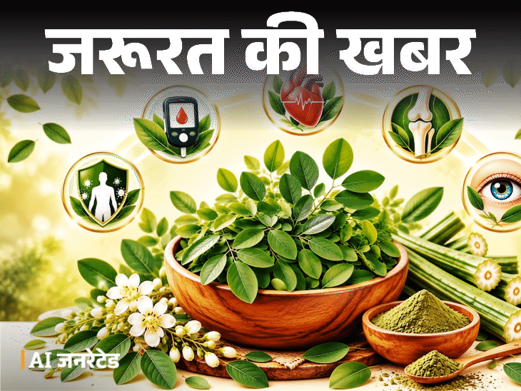 जरूरत की खबर- सहजन के पत्ते हैं ‘सेहत का खजाना’:  ब्लड शुगर करे कंट्रोल, पाचन रखे दुरुस्त, डॉक्टर से जानें इसे खाने का सही तरीका