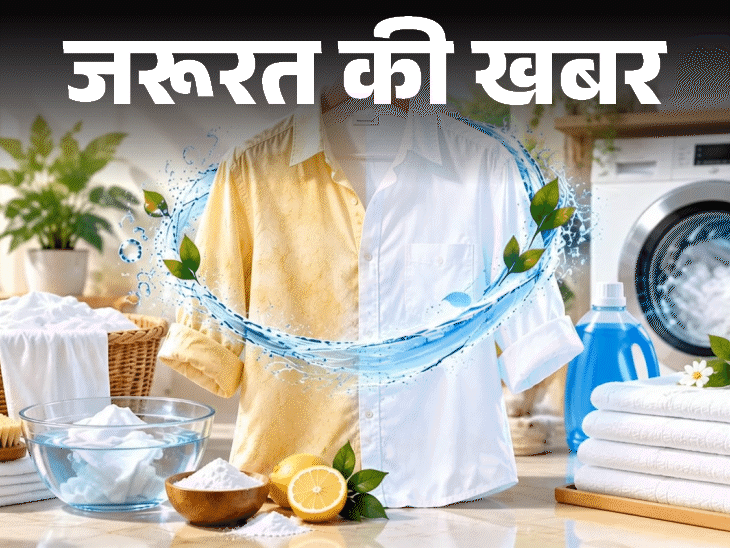 जरूरत की खबर- सफेद कपड़े जल्दी पीले पड़ जाते हैं: खोई चमक लौटाने के 5 टिप्स, धोते हुए बरतें 11 सावधानियां, न करें 6 गलतियां जरूरत की खबर- सफेद कपड़े जल्दी पीले पड़ जाते हैं: खोई चमक लौटाने के 5 टिप्स, धोते हुए बरतें 11 सावधानियां, न करें 6 गलतियां