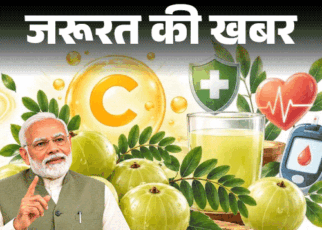 जरूरत की खबर- PM मोदी ने बताए आंवले के गुण:  विटामिन C का पावरहाउस, विटामिन A का खजाना, डाइटीशियन से जानें खाने का सही तरीका