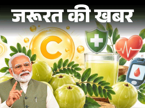 जरूरत की खबर- PM मोदी ने बताए आंवले के गुण:  विटामिन C का पावरहाउस, विटामिन A का खजाना, डाइटीशियन से जानें खाने का सही तरीका
