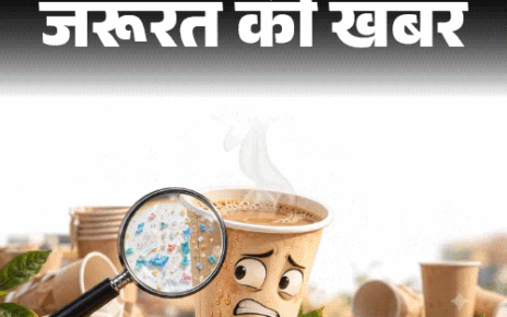 जरूरत की खबर- पेपर कप में चाय-कॉफी, सूप न पिएं:  उसमें छिपे माइक्रोप्लास्टिक से 7 गंभीर हेल्थ रिस्क, कांच या स्टील का कप ही बेहतर