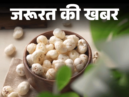जरूरत की खबर- व्रत का स्टेपल फूड ‘मखाना’:  जानें इसके 10 हेल्थ बेनिफिट्स, प्रोटीन-फाइबर से भरपूर, खरीदते हुए 9 बातें ध्यान रखें