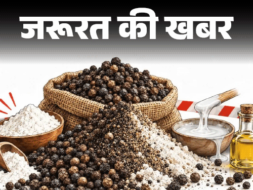 जरूरत की खबर- 1200 किलो मिलावटी काली मिर्च जब्त:  मैदा, गोंद और तेल से बन रही ब्लैक पेपर, घर पर ऐसे करें असली-नकली की पहचान