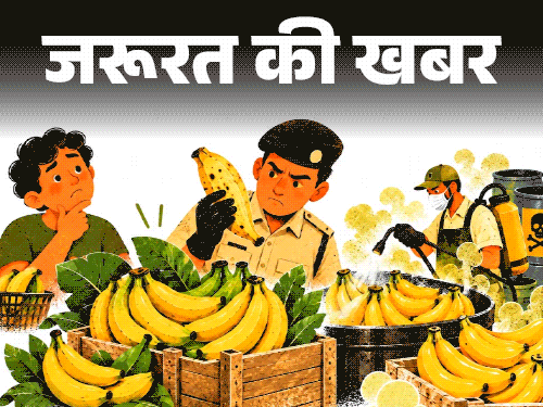 जरूरत की खबर- महाराष्ट्र में 1,400 किलो केले जब्त:  केमिकल में डुबोकर पका रहे थे, इसे खाने के हेल्थ रिस्क, ऐसे पहचानें केमिकल्स