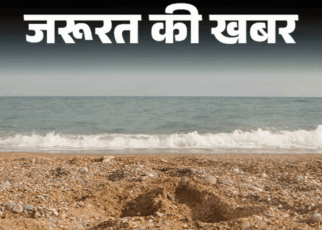 जरूरत की खबर- कीवी के 12 हेल्थ बेनिफिट्स:  पाचन बेहतर बनाए, ब्लड शुगर कंट्रोल रखे, डॉक्टर से जानें किन्हें सावधानी बरतनी चाहिए