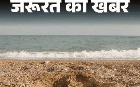 जरूरत की खबर- कीवी के 12 हेल्थ बेनिफिट्स:  पाचन बेहतर बनाए, ब्लड शुगर कंट्रोल रखे, डॉक्टर से जानें किन्हें सावधानी बरतनी चाहिए