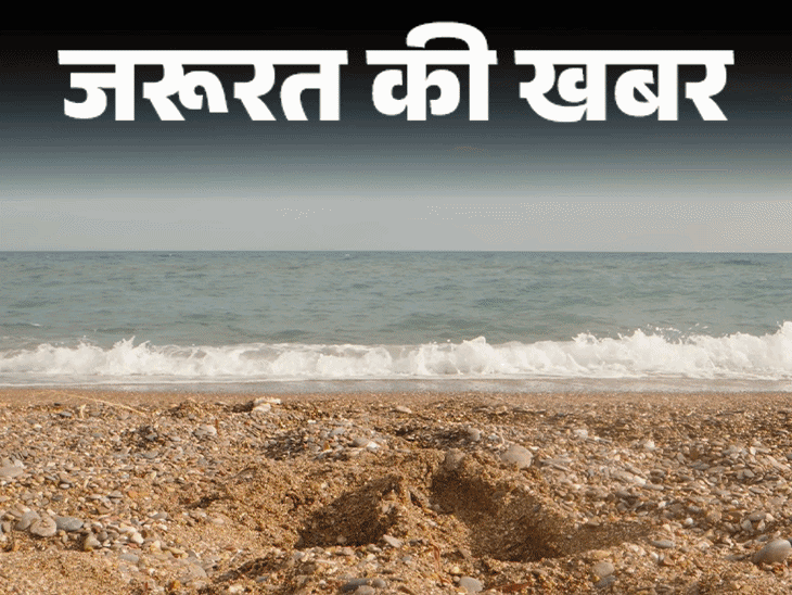 जरूरत की खबर- कीवी के 12 हेल्थ बेनिफिट्स:  पाचन बेहतर बनाए, ब्लड शुगर कंट्रोल रखे, डॉक्टर से जानें किन्हें सावधानी बरतनी चाहिए